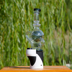 Ball Rig Glass Attachment for FOCUS V CARTA BoroTech Official  